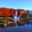 栃木県の地域情報サイト「トラフィック栃木」　中央公園