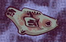 こやなぎぬまのおおごい　小柳沼の大鯉