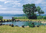 北海道の無料温泉「池の湯」